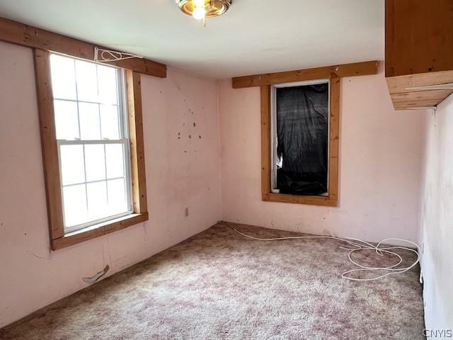 spare room with carpet floors and a healthy amount of sunlight