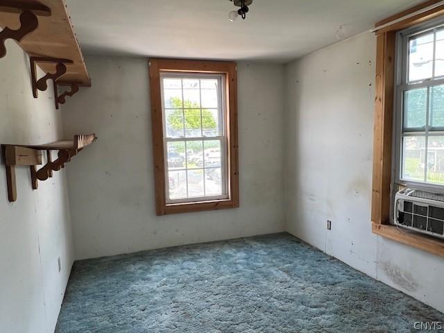 spare room featuring carpet flooring