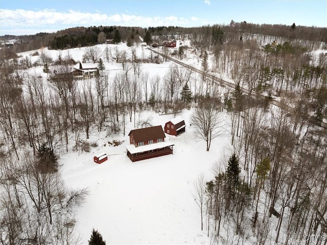 view of snowy aerial view