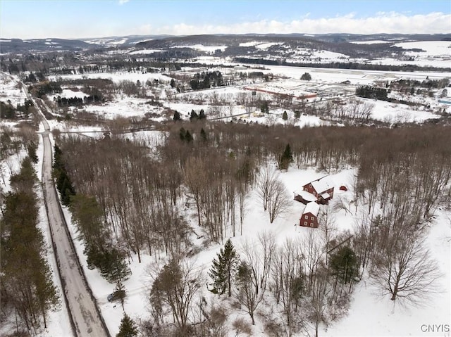 view of snowy aerial view