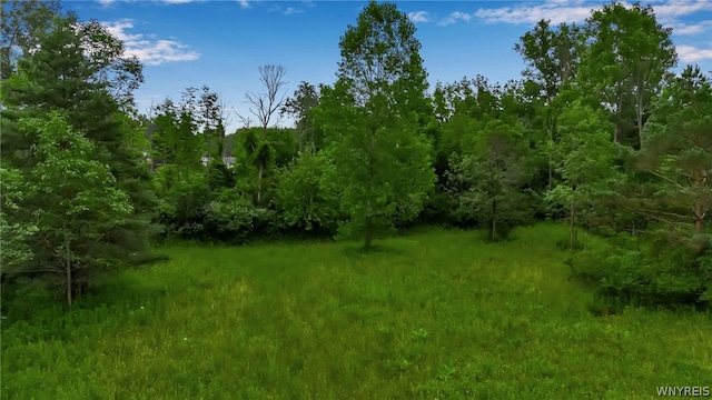 360 Pound Rd, Elma NY, 14059 land for sale