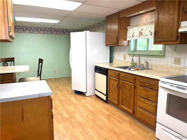 kitchen featuring a drop ceiling, decorative backsplash, light wood-type flooring, white appliances, and sink