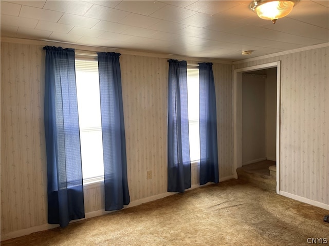 unfurnished room featuring carpet floors and a healthy amount of sunlight