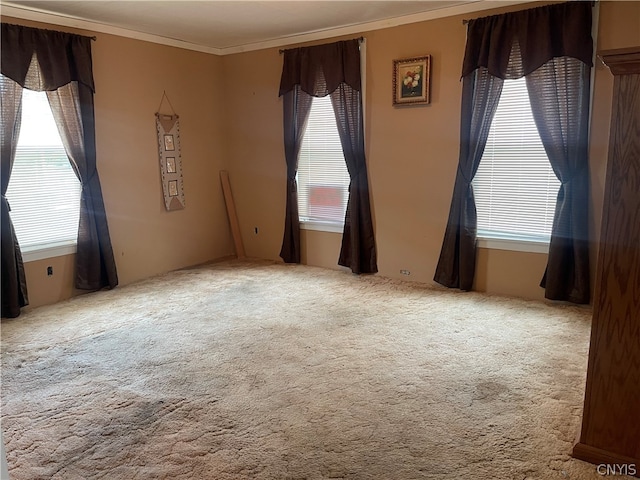 unfurnished room with crown molding, carpet, and a wealth of natural light