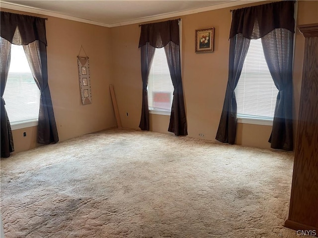 413 Fairview St, Watertown-City, NY 13601 - spare room featuring carpet, ornamental molding, and a healthy amount of sunlight