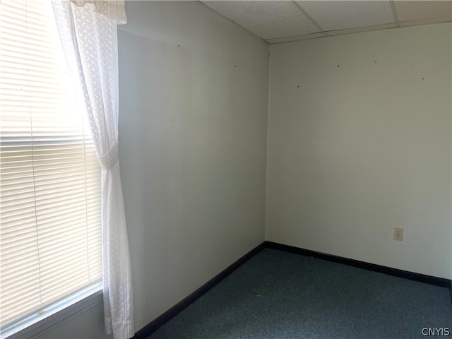 spare room with carpet and a paneled ceiling