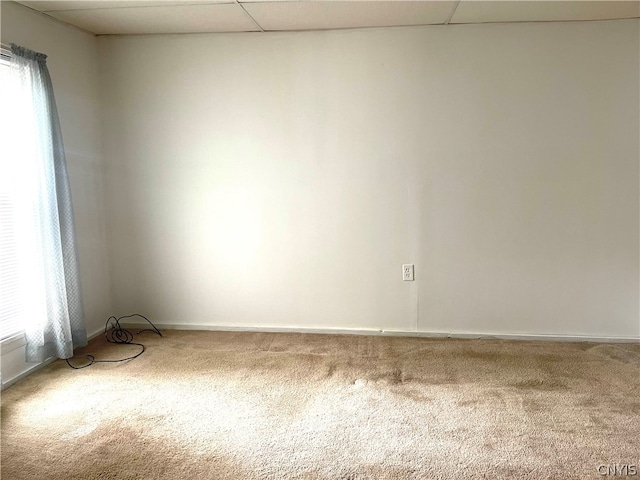 carpeted spare room featuring a healthy amount of sunlight and a paneled ceiling