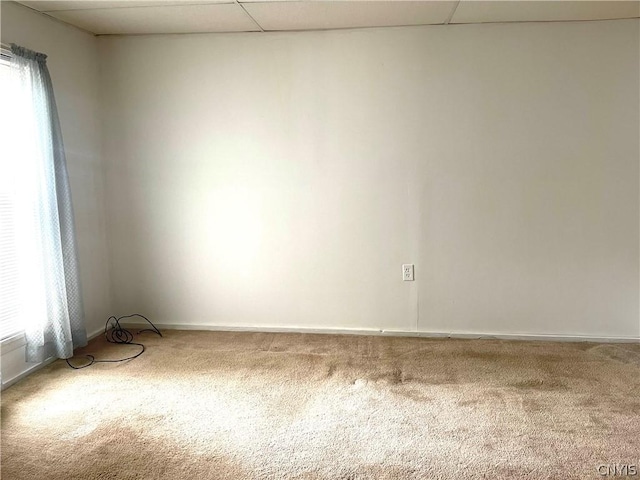 413 Fairview St, Watertown-City, NY 13601 - empty room featuring plenty of natural light, carpet, a paneled ceiling, and baseboards