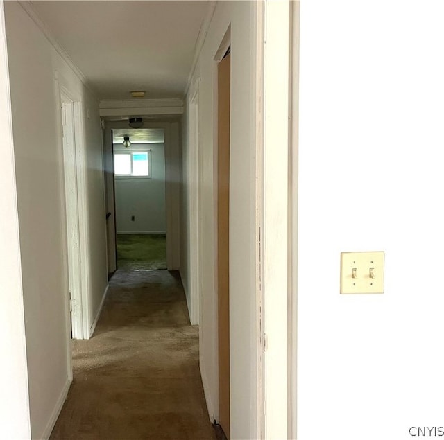 corridor featuring carpet and ornamental molding