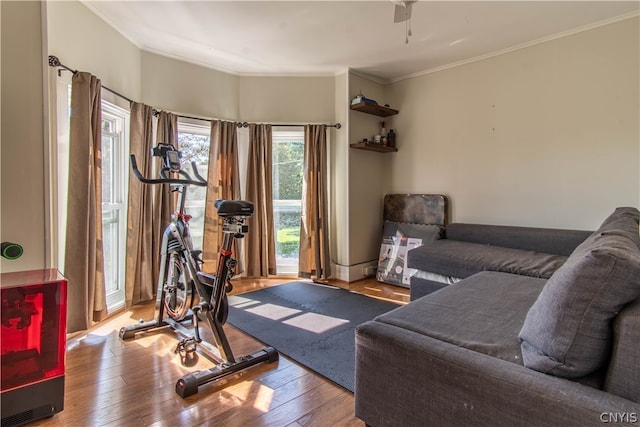 exercise room with ornamental molding, wood-type flooring, and ceiling fan