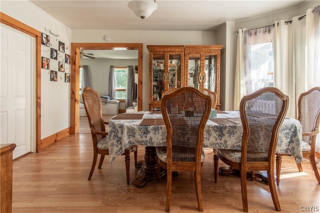 dining space with light wood-type flooring and ceiling fan