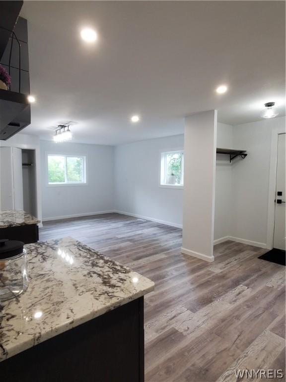 interior space with wood-type flooring and plenty of natural light