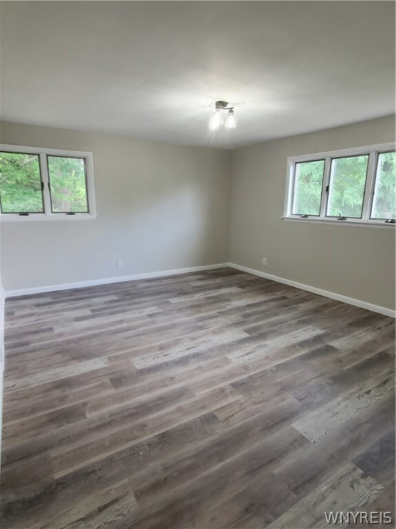 spare room featuring wood-type flooring