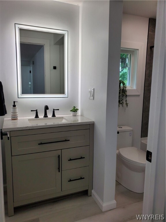 bathroom featuring vanity, wood-type flooring, and toilet