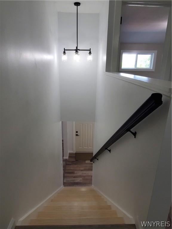 stairway with hardwood / wood-style floors