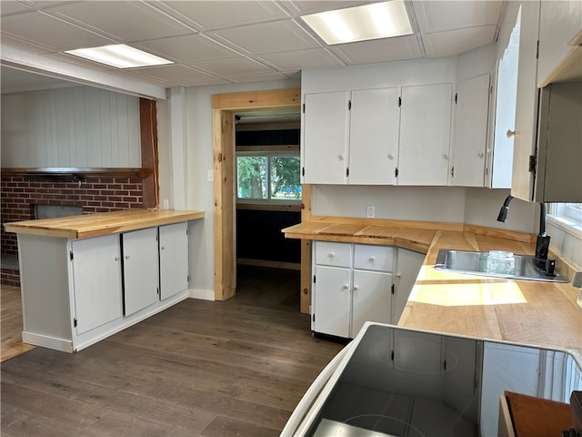 kitchen with sink, white cabinetry, a paneled ceiling, and dark wood-type flooring