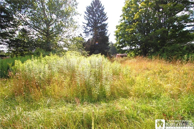 53 N St, Harmony NY, 14767 land for sale