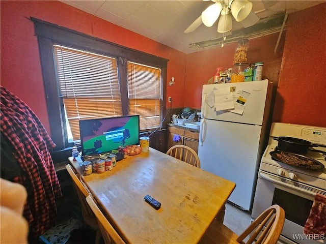 dining space featuring a ceiling fan