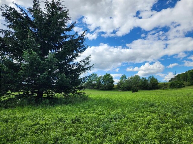 view of nature