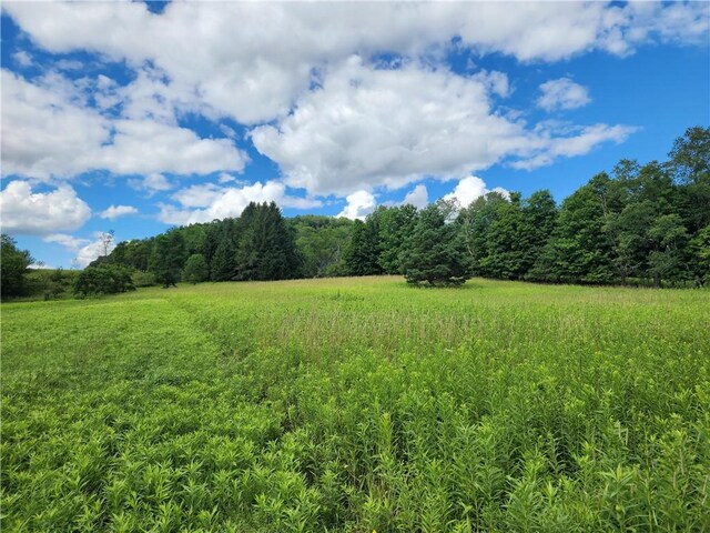 view of landscape featuring a rural view