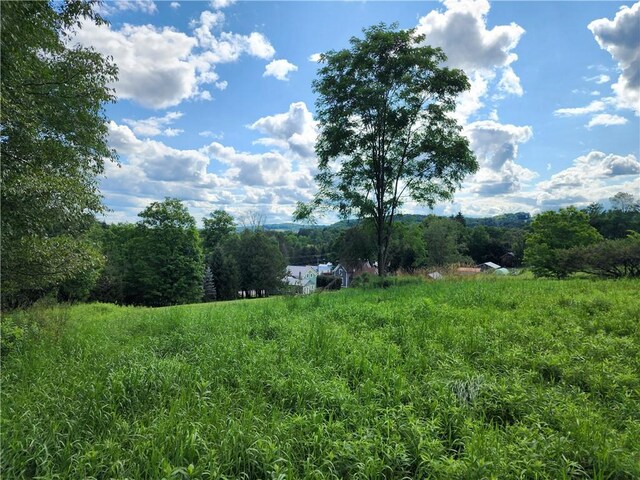 view of local wilderness with a rural view