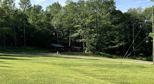 view of property's community featuring a lawn