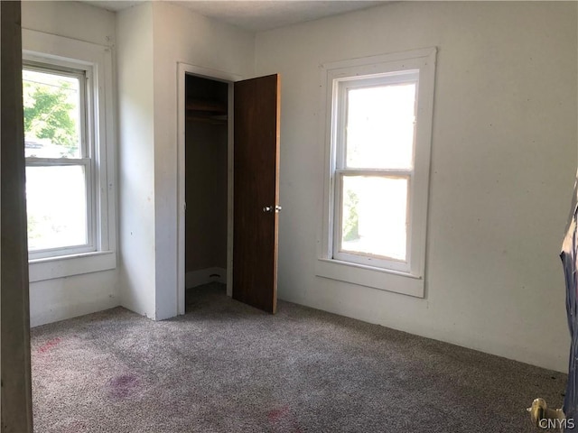 unfurnished bedroom with multiple windows, a closet, and carpet flooring