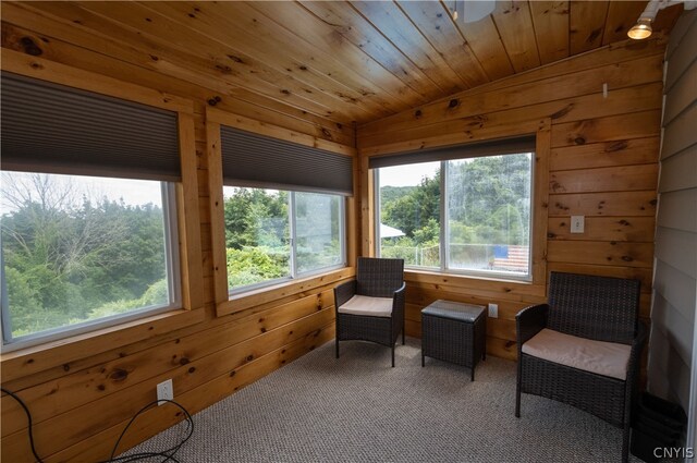 sitting room with carpet floors, wooden ceiling, wooden walls, and a wealth of natural light