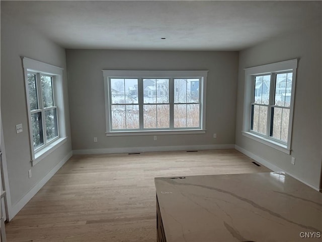 empty room featuring plenty of natural light and light hardwood / wood-style flooring