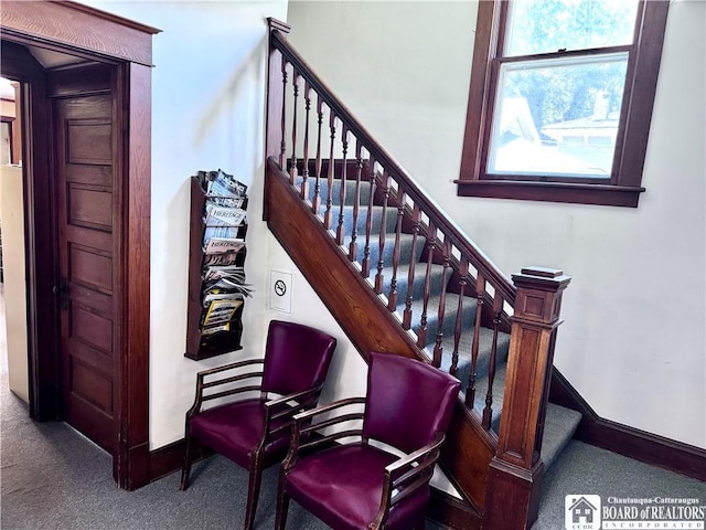 stairs featuring carpet floors