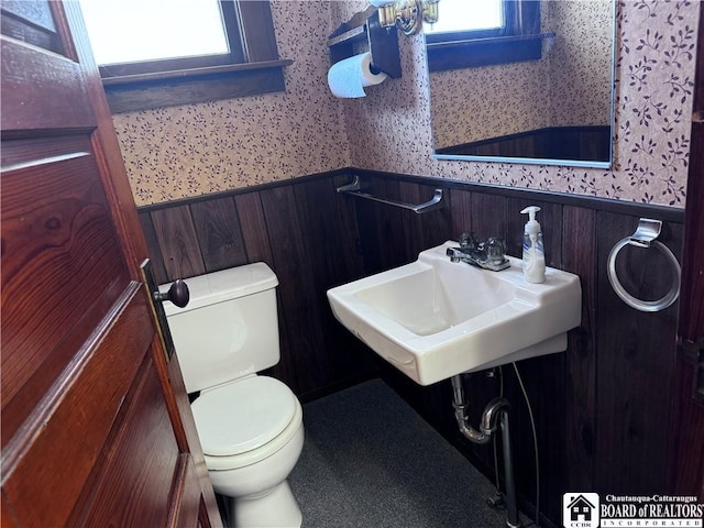 bathroom with toilet and sink