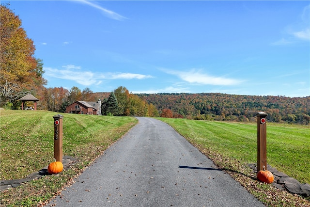 view of road