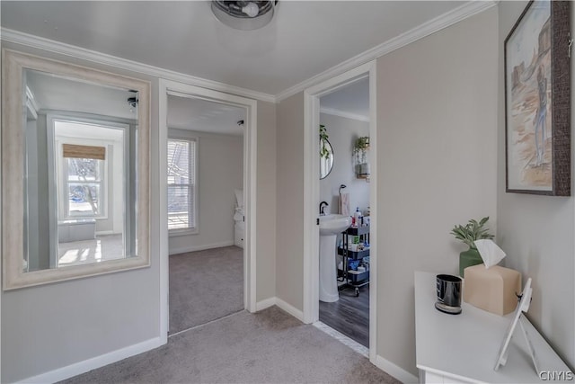 corridor featuring light colored carpet and ornamental molding