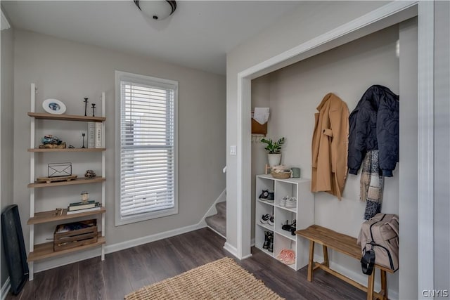 mudroom featuring dark hardwood / wood-style floors