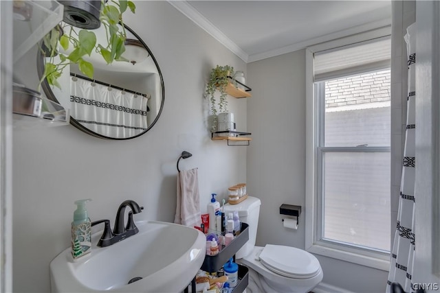 bathroom with ornamental molding, toilet, and sink