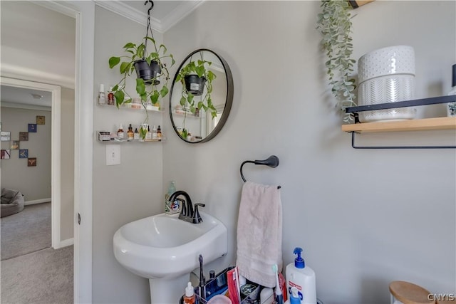 bathroom featuring crown molding and sink