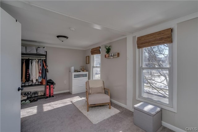 living area with light carpet