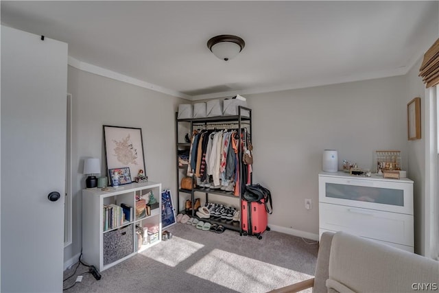 bedroom featuring crown molding, carpet flooring, and a closet