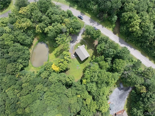 369 Twin Ponds Dr, Newport, NY 13350 - photo 26