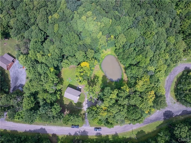 369 Twin Ponds Dr, Newport, NY 13350 - photo 27