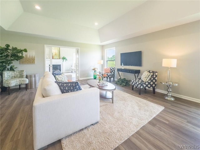 living room featuring dark hardwood / wood-style flooring and a raised ceiling