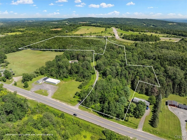 00 Trenton Rd, Deerfield NY, 13502 land for sale