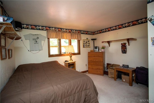 7044 Crane Rd, Ellicottville, NY 14731 - photo 15