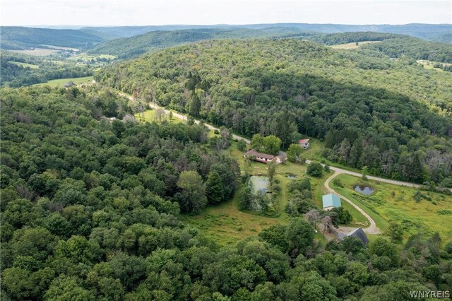 aerial view featuring a mountain view and a view of trees