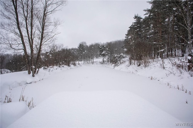 view of yard layered in snow