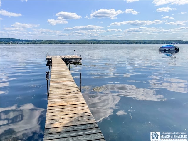 dock area with a water view