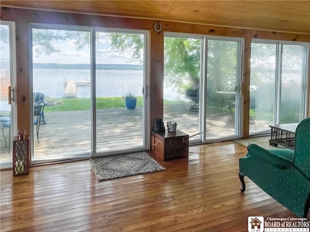 doorway featuring a water view, plenty of natural light, and hardwood / wood-style flooring