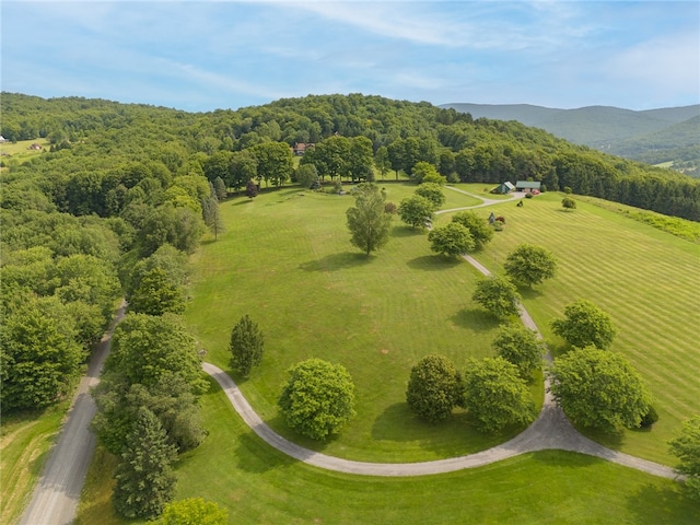 aerial view with a mountain view and a rural view