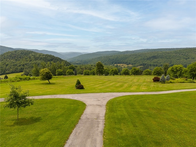 view of home's community with a yard and a mountain view