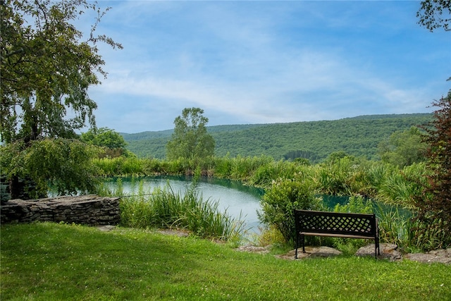 view of home's community featuring a yard and a water view